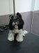 /assets/u/pic.php?path=/up/i/359cfa741b1588334.jpg&width=512