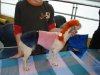 /assets/u/pic.php?path=/up/i/c40c5ce5d36488334.jpg&width=512